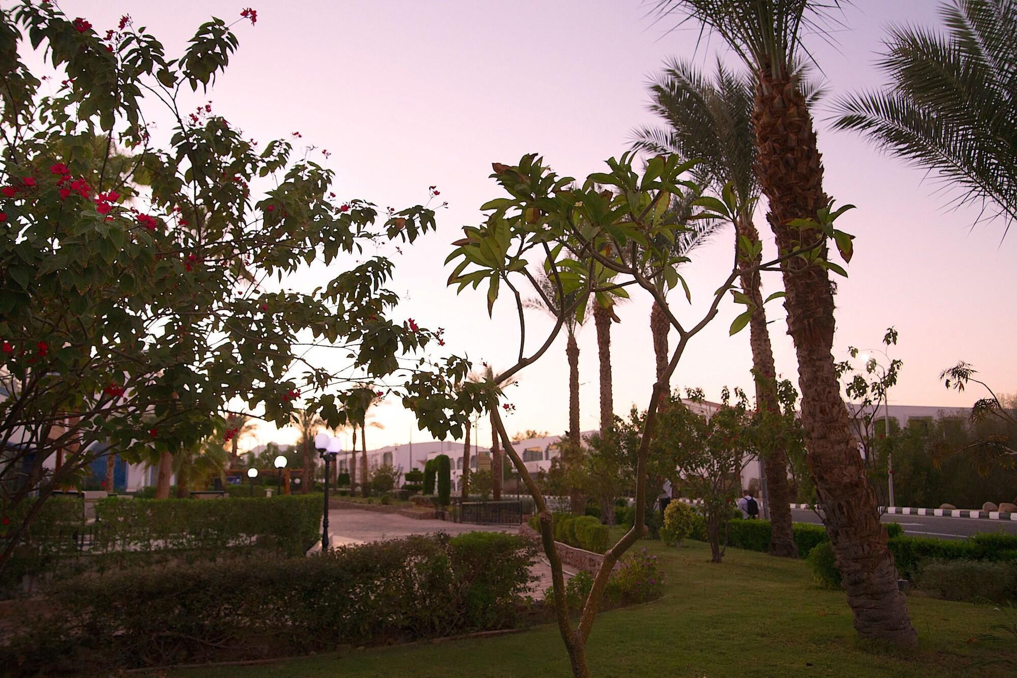 Naama Blue Hotel Шарм-эль-Шейх Экстерьер фото